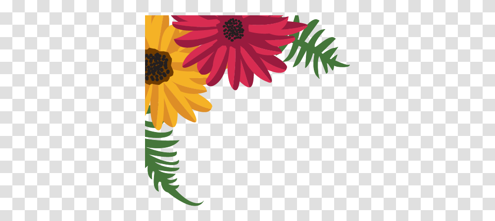 Download Garden Party African Daisy, Plant, Flower, Blossom, Daisies Transparent Png