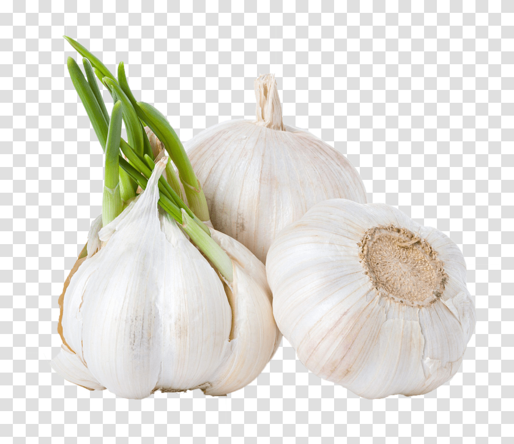 Download Garlic Background Clipart, Plant, Fungus, Food, Vegetable Transparent Png