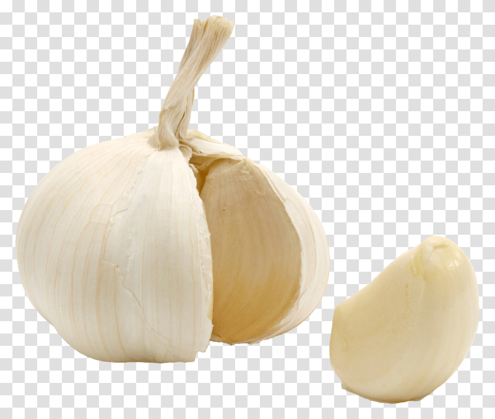 Download Garlic Image With No Garlic Clove Background, Plant, Vegetable, Food, Fungus Transparent Png