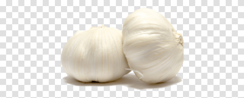 Download Garlic Images Background Garlic, Plant, Vegetable, Food, Diaper Transparent Png