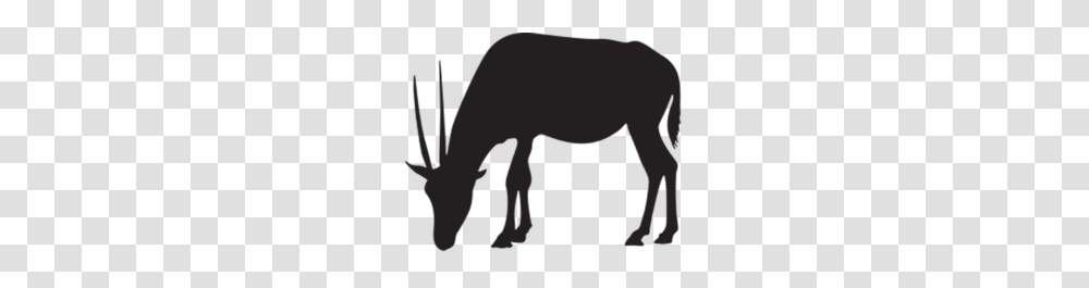 Download Gazelle Vector Clipart Gazelle Clip Art Drawing, Silhouette, Leisure Activities, Mammal, Animal Transparent Png