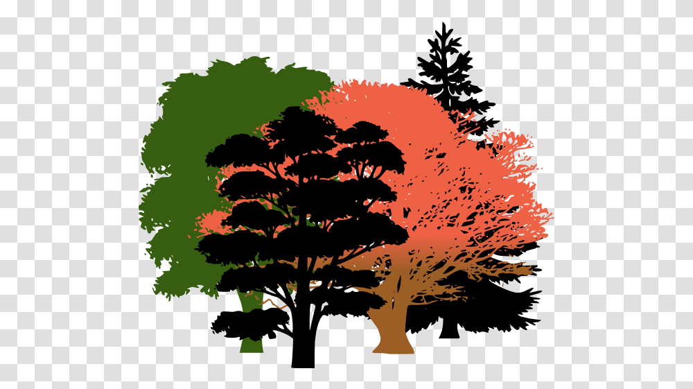 Download Get Free High Quality Hd Wallpapers Oak Tree Pine Tree Silhouette, Plant, Nature, Outdoors, Bush Transparent Png