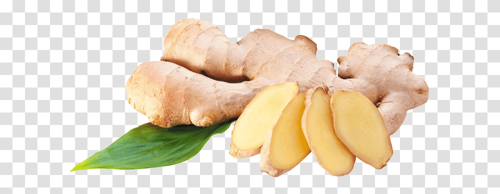 Download Ginger Ginger, Plant, Fungus Transparent Png