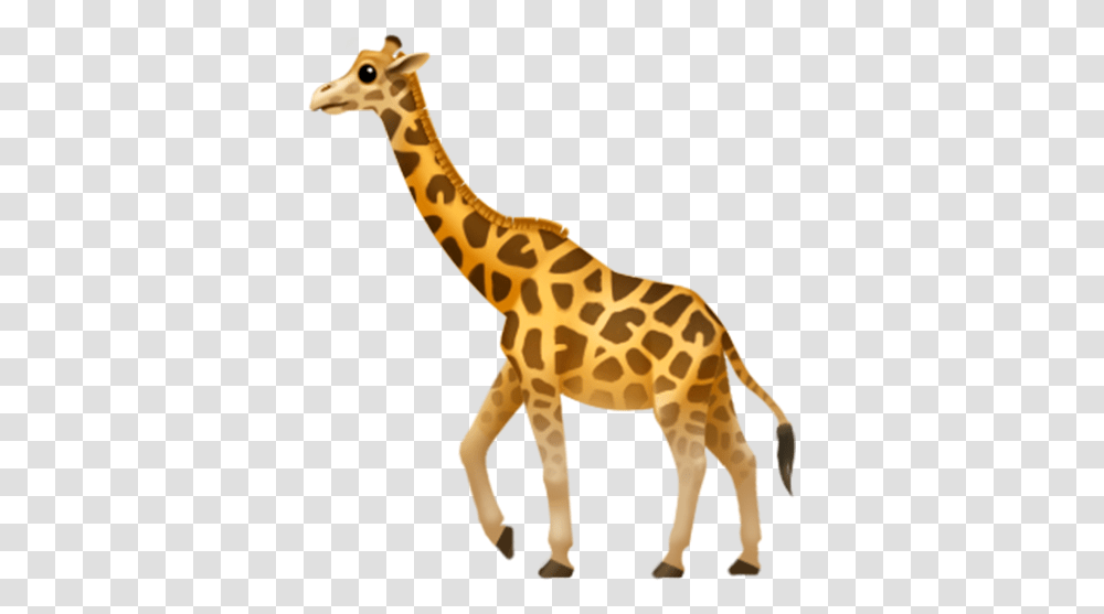 Download Giraffe Images Giraffe Emoji Apple, Wildlife, Mammal, Animal Transparent Png