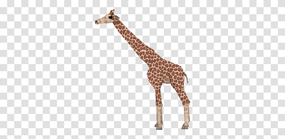 Download Giraffe Images Giraffe Gif Background, Wildlife, Mammal, Animal Transparent Png