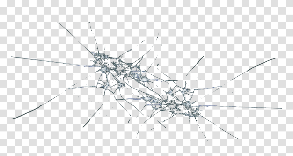 Download Glass Crack Line Art, Spider, Invertebrate, Animal, Arachnid Transparent Png