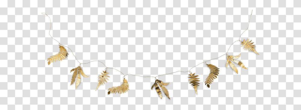 Download Gold Fern Leaf Garland Nkuku Tabwa Image With Twig, Plant, Bird, Animal, Root Transparent Png