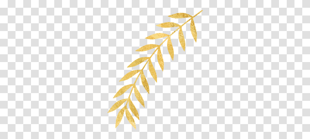 Download Gold Leaves Image With Twig, Leaf, Plant, Flower, Blossom Transparent Png