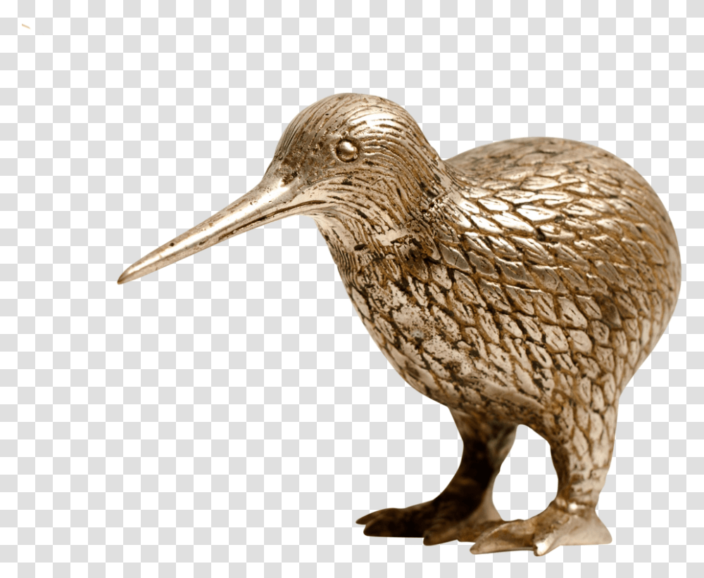 Download Gold Silver Kiwi Gold Kiwi Animal Dowitcher, Bird, Beak, Bronze, Kiwi Bird Transparent Png