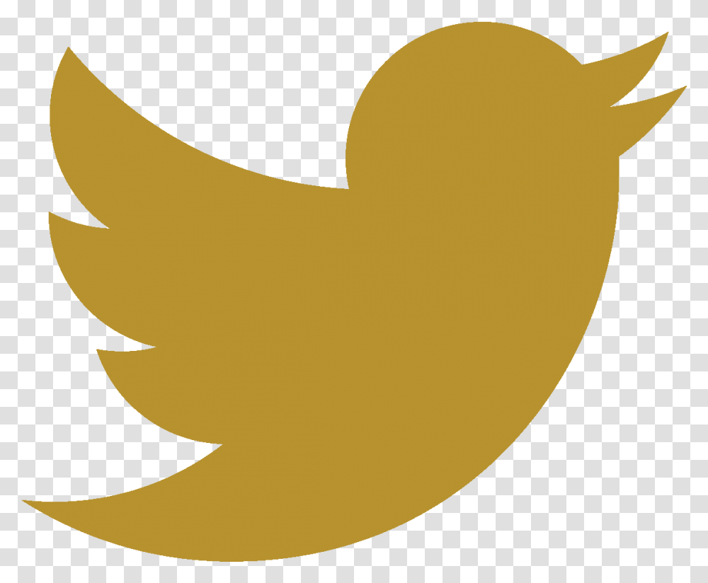 Download Golden Twitter Logo Image With No Gold Twitter Logo Background, Bird, Animal, Shark, Sea Life Transparent Png
