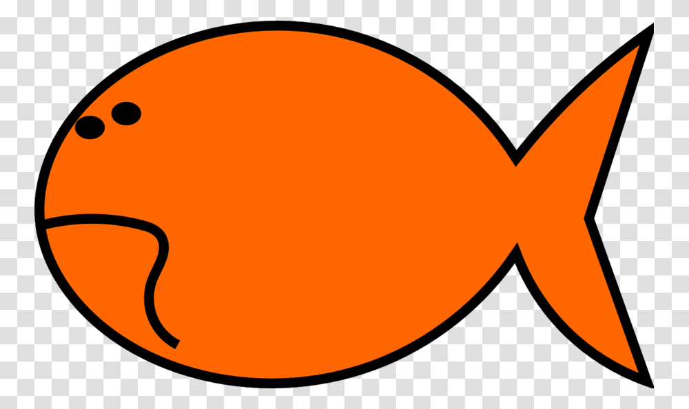 Download Goldfish Clip Art Clipart Goldfish Clip Art Orange, Oval, Leisure Activities Transparent Png