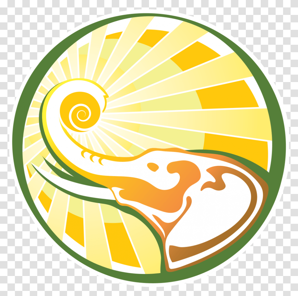 Download Good Sun Atom Full Size Image Pngkit Circle, Sea Life, Animal, Rug, Invertebrate Transparent Png