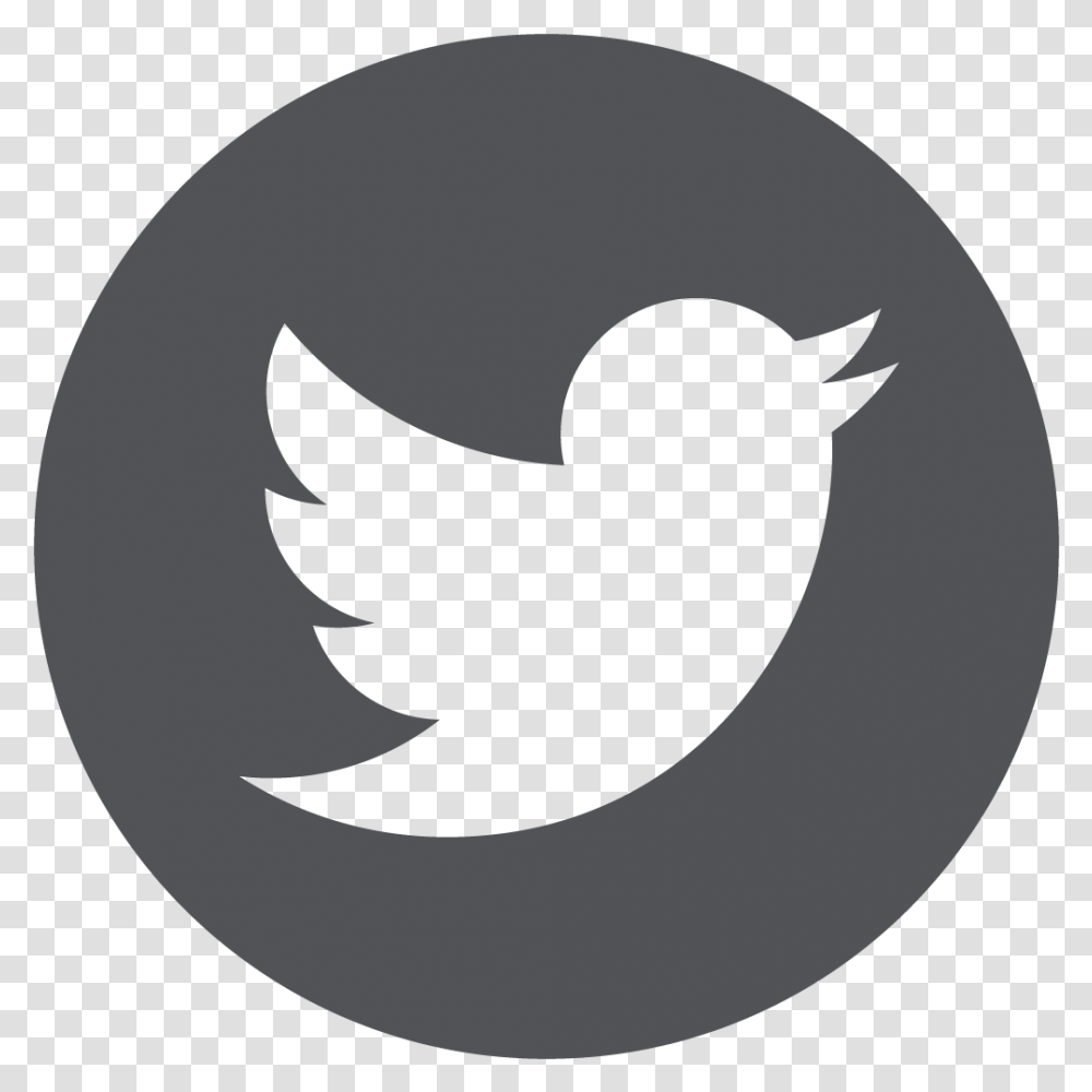 Download Google Plus Icon Twitter Logo Black No Twitter Icon Black, Symbol, Text, Bird, Animal Transparent Png