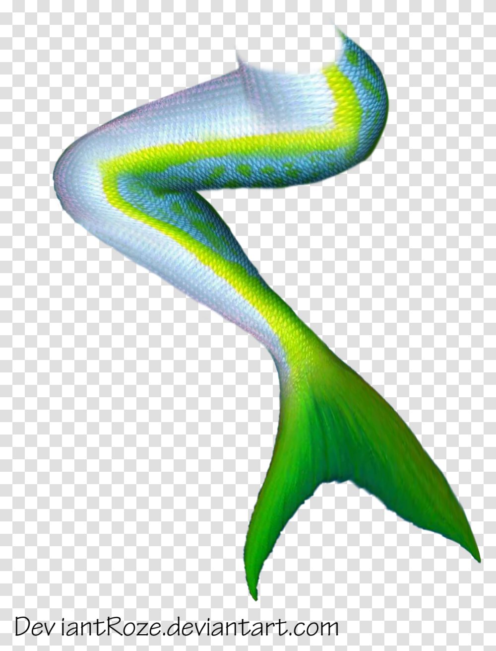 Download Google Search Fin Shape Mermaid Tail Background, Bird, Animal, Gecko, Reptile Transparent Png