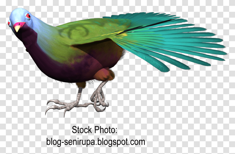 Download Goose Macaw Bird Gulls Beak Free Hq Clipart Birds, Animal, Parrot Transparent Png