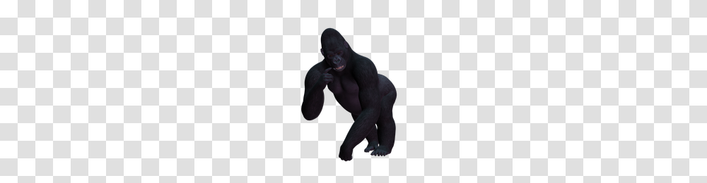 Download Gorilla Free Photo Images And Clipart Freepngimg, Person, Human, Ape, Wildlife Transparent Png