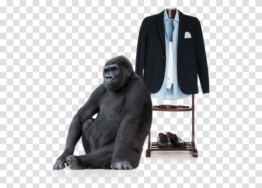 Download Gorilla Images Gorilla Sitting Down, Ape, Wildlife, Mammal, Animal Transparent Png