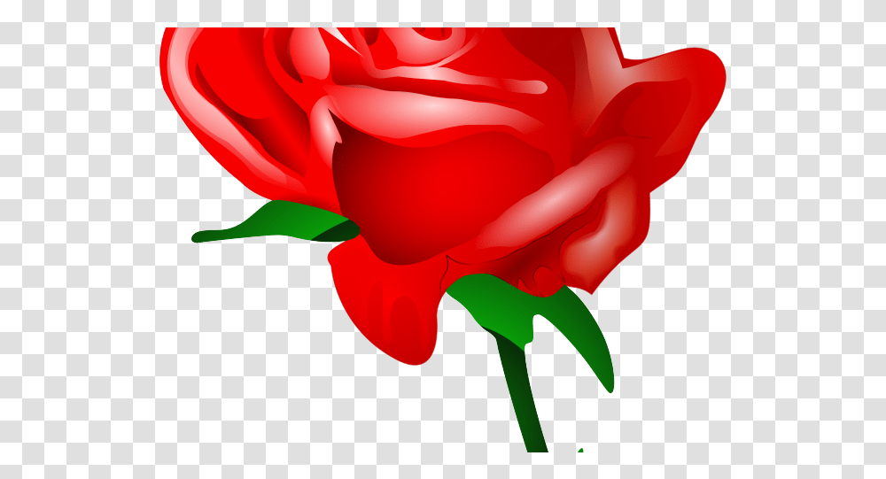 Download Gothic Clipart Red Rose Flower Love, Plant, Blossom, Petal, Peony Transparent Png