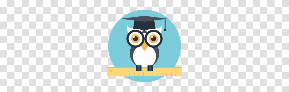 Download Graduate Owl Clipart Owl Clip Art Owl Illustration, Animal, Bird, Face, Outdoors Transparent Png