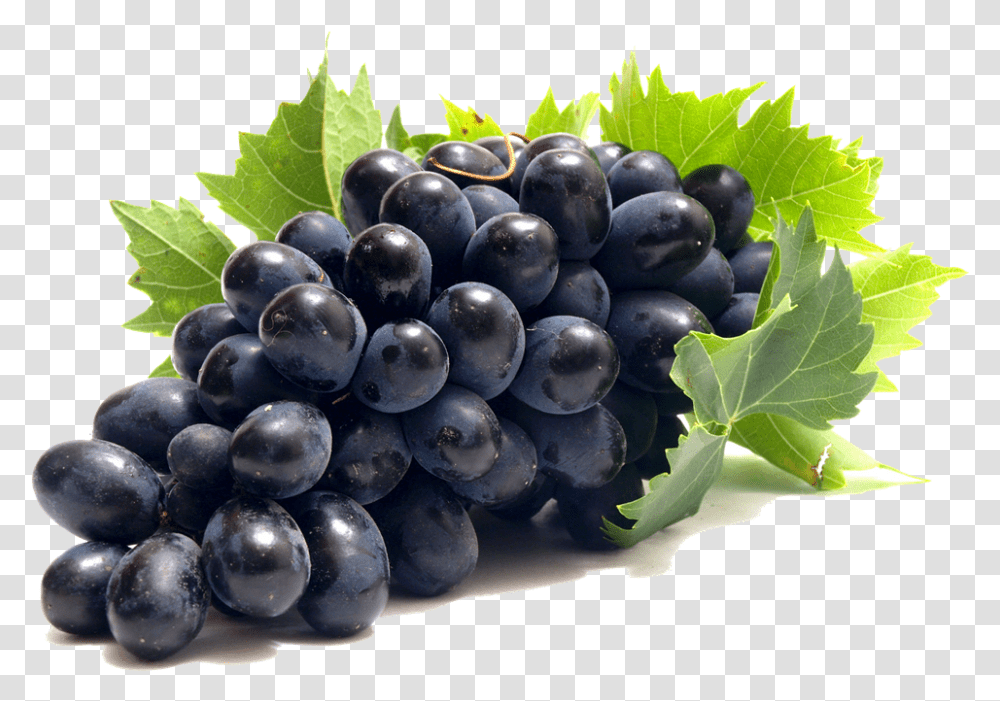 Download Grape Grape, Plant, Grapes, Fruit, Food Transparent Png
