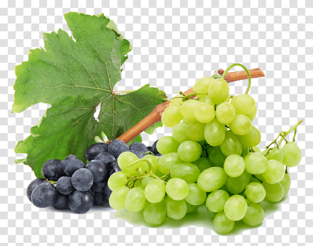 Download Grapes Free Image Green And Black Grapes, Plant, Fruit, Food, Leaf Transparent Png