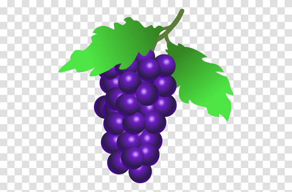 Download Grapes Vine Clipart, Fruit, Plant, Food, Balloon Transparent Png