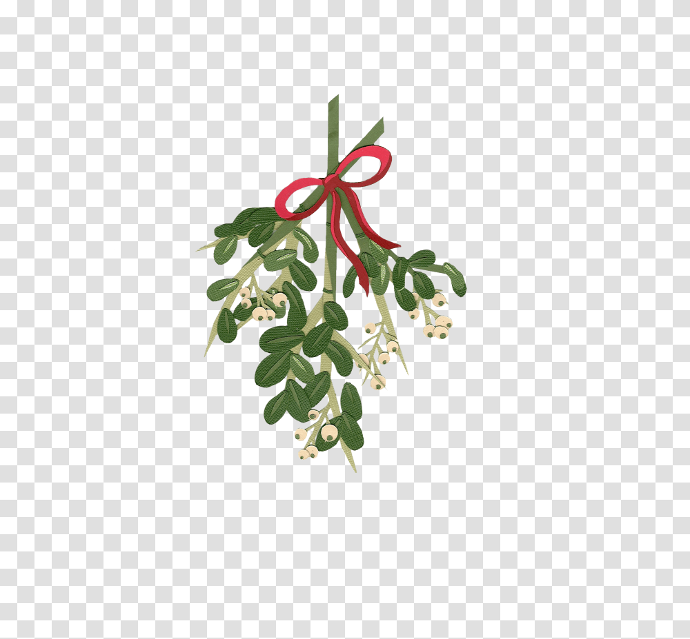 Download Graphic Clipart Tumblr Frames Watercolor Christmas Flower, Plant, Tree, Annonaceae, Leaf Transparent Png