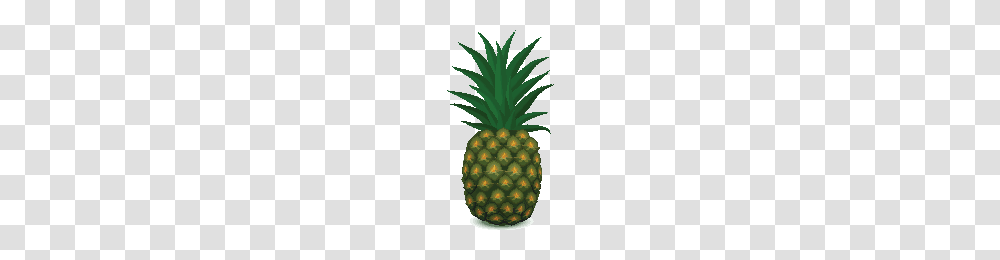 Download Grass Free Photo Images And Clipart Freepngimg, Plant, Fruit, Food, Pineapple Transparent Png