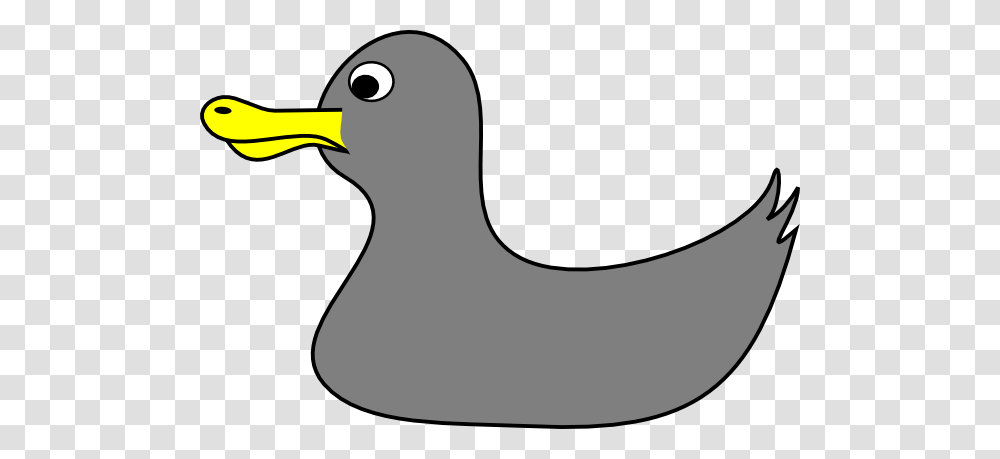 Download Gray Duck Clipart, Bird, Animal, Beak Transparent Png