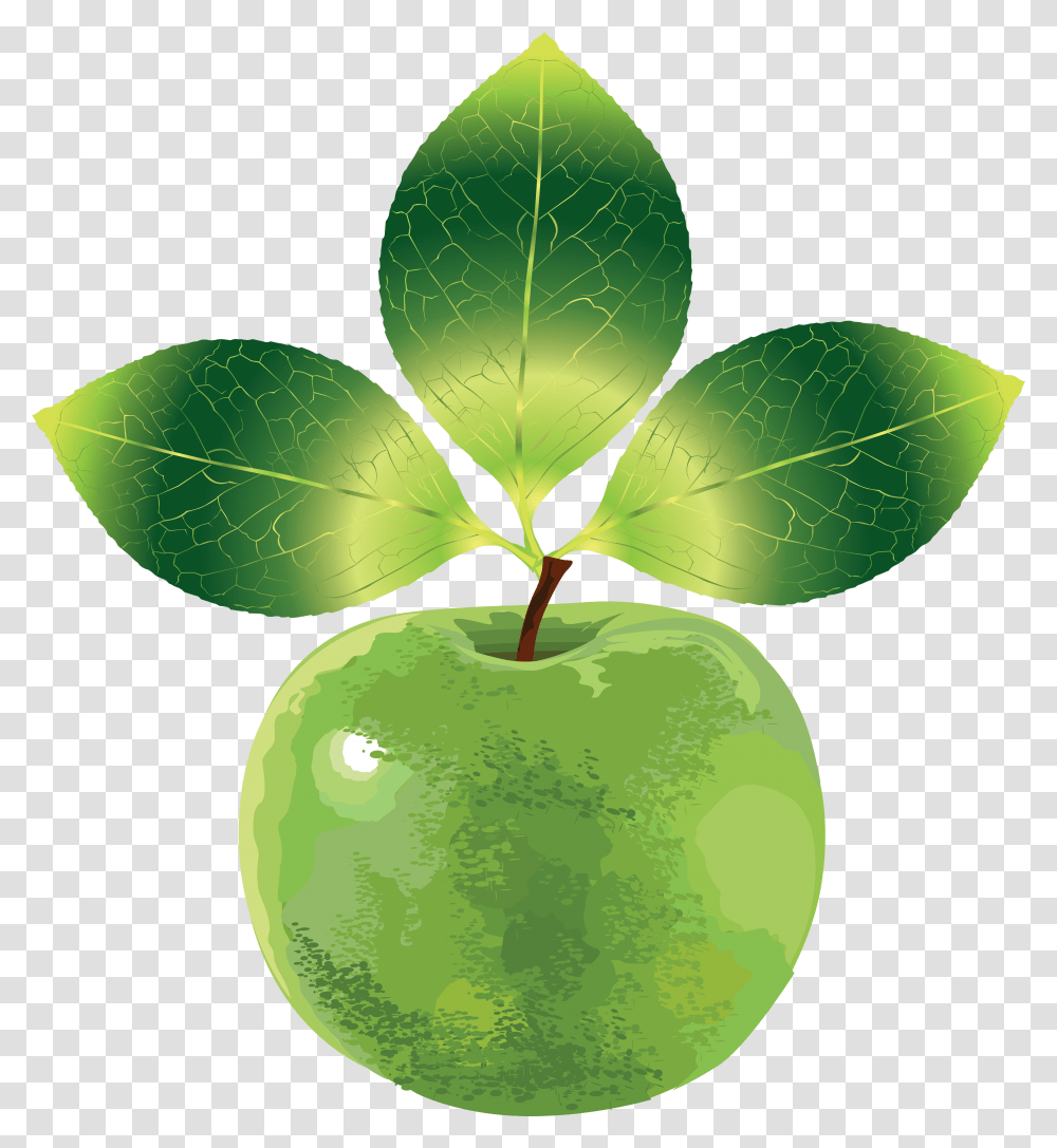 Download Green Apple's Image For Free Clip Art, Leaf, Plant, Fruit, Food Transparent Png