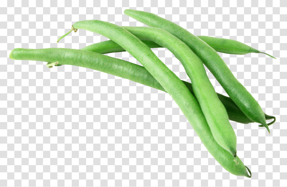 Download Green Beans Image For Free Green Bean, Plant, Vegetable, Food, Produce Transparent Png