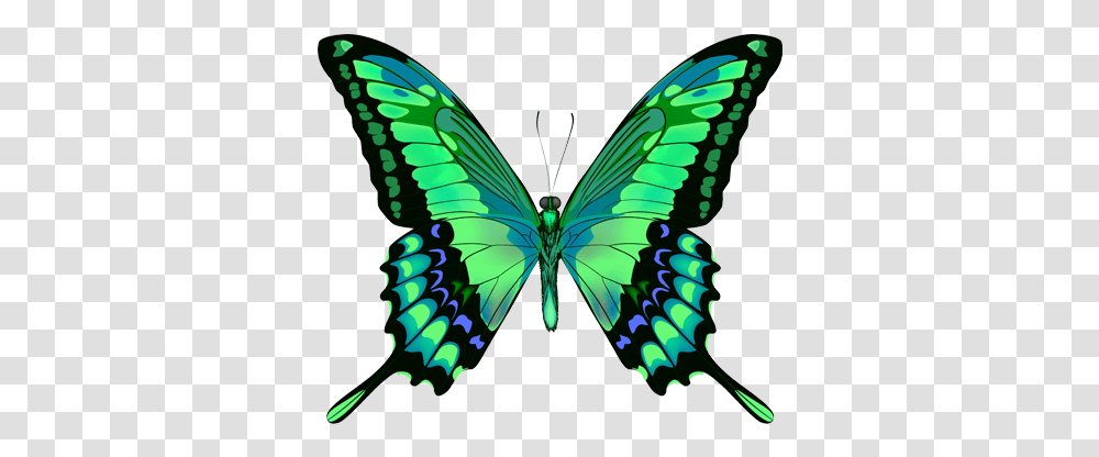 Download Green Butterfly Green And Blue Butterfly, Insect, Invertebrate, Animal, Pattern Transparent Png