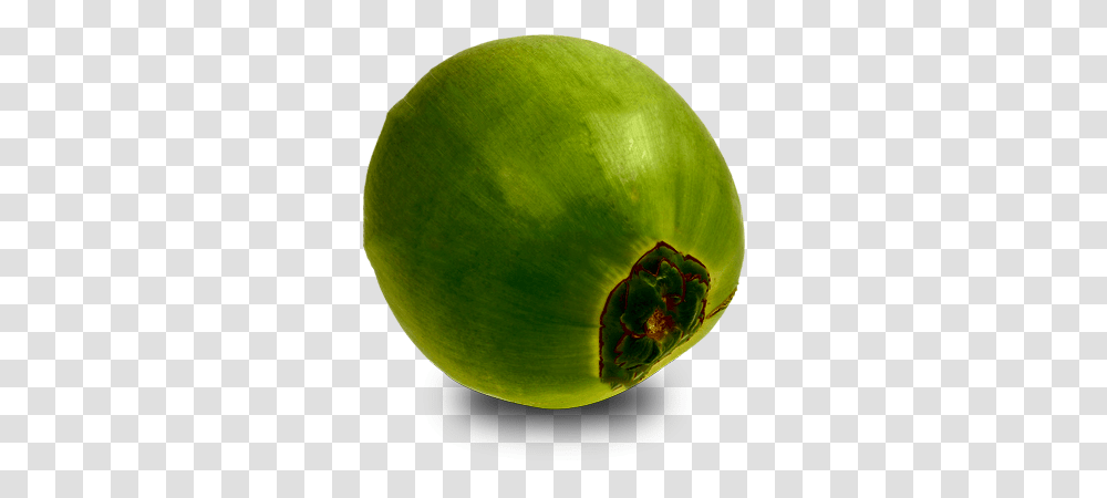 Download Green Coconut Papaya, Tennis Ball, Sport, Sports, Plant Transparent Png