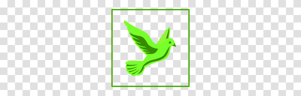 Download Green Dove Icon Clipart Pigeons And Doves Doves As, Bird, Animal, Recycling Symbol Transparent Png
