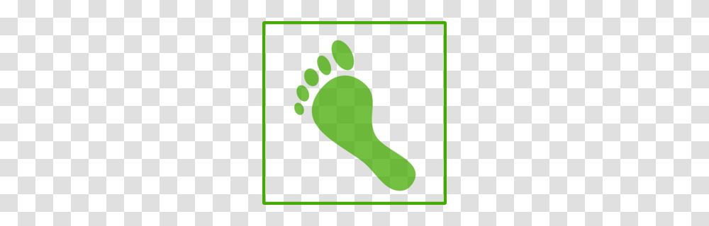 Download Green Footprint Icon Clipart Ecological Footprint Clip Transparent Png