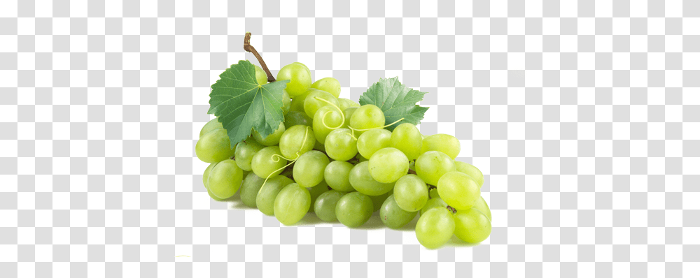 Download Green Grapes Green Grape, Fruit, Plant, Food Transparent Png
