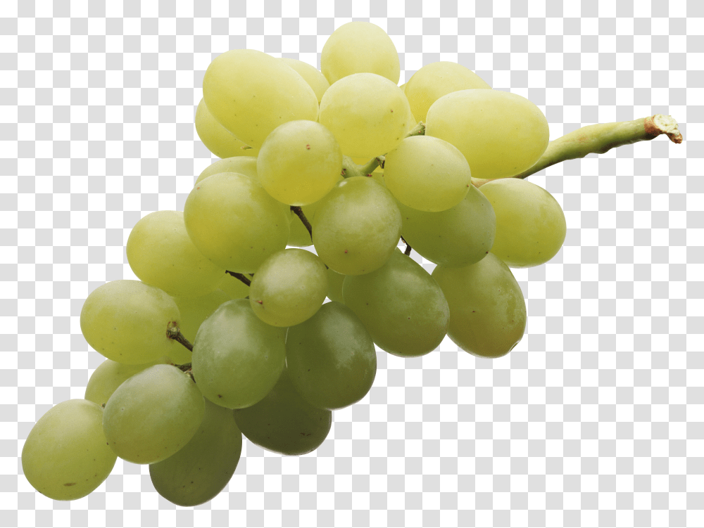 Download Green Grapes Image For Free Grapes Transparent Png