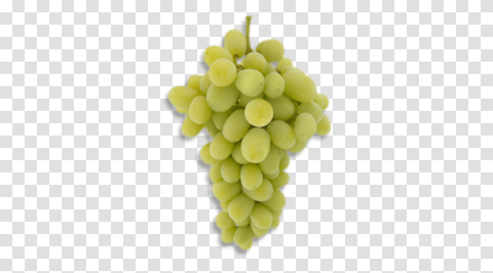 Download Green Grapes Pic Grape Full Size Image Anggur Autumn King, Plant, Fruit, Food Transparent Png