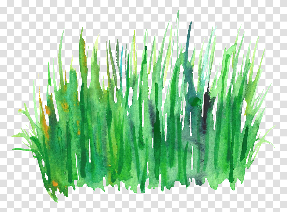 Download Green Grass Cluster Decorative Green Water Color Grass, Animal, Sea Life, Reef, Outdoors Transparent Png