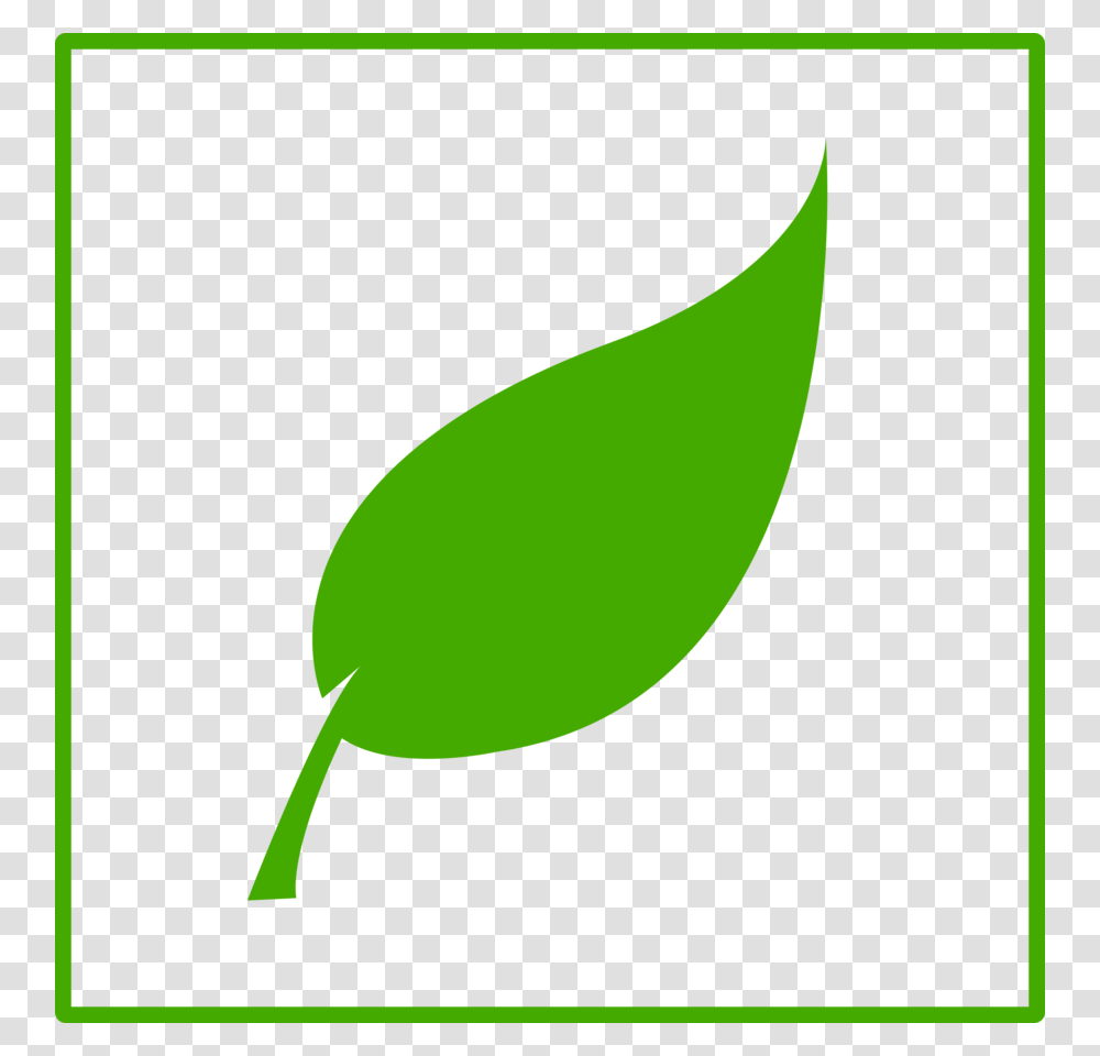 Download Green Leaf Eco Clipart Clip Art Leaf Graphics Green, Plant, Seed, Grain, Produce Transparent Png