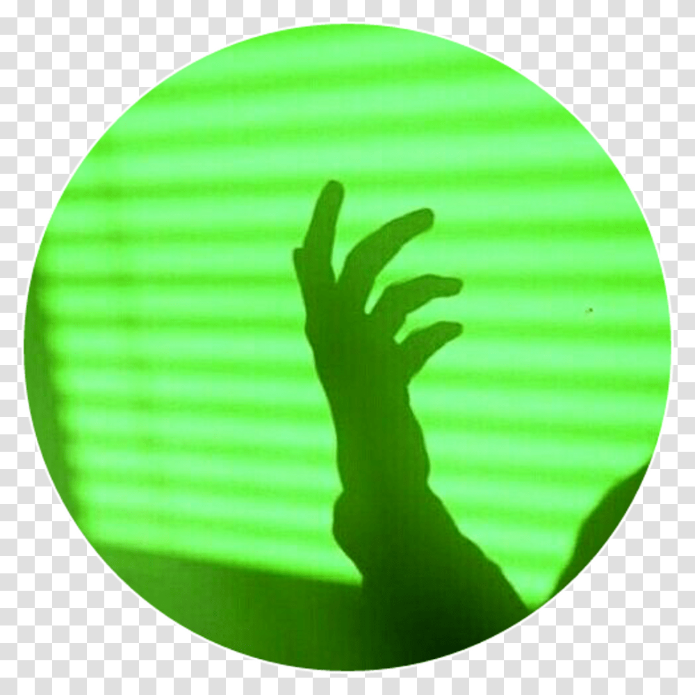 Download Green Light Hand Shadow Light Green Aesthetic, Logo, Symbol, Trademark, Badminton Transparent Png