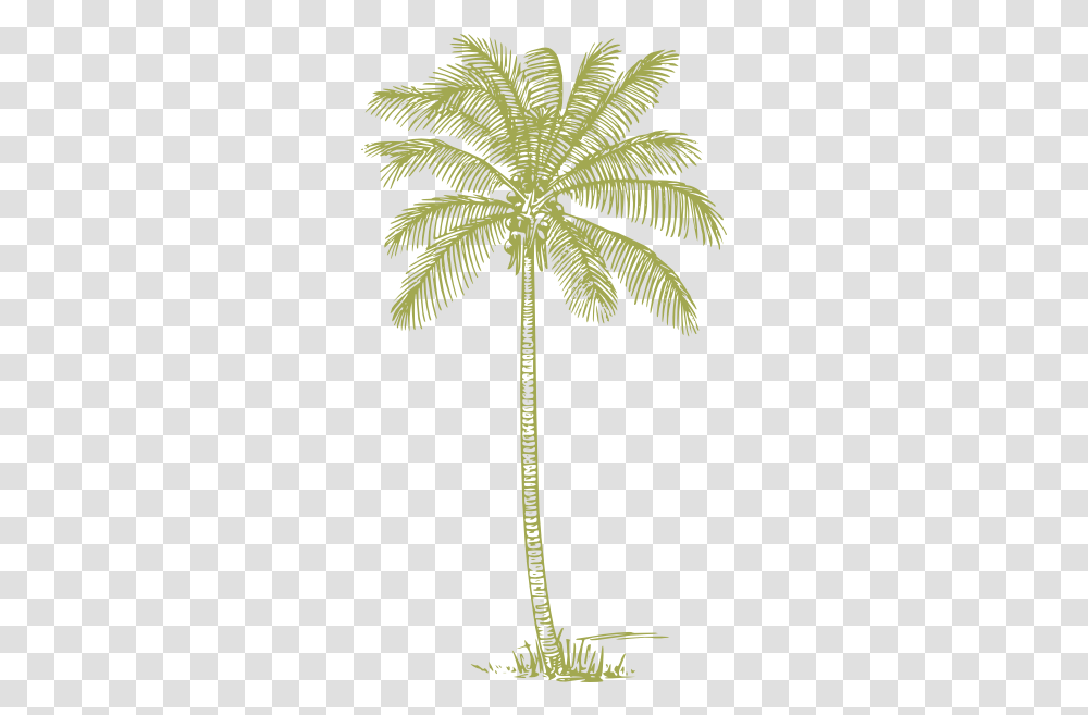 Download Green Palm Tree Silhouette Coconut Tree Outline, Plant, Leaf, Bird, Animal Transparent Png