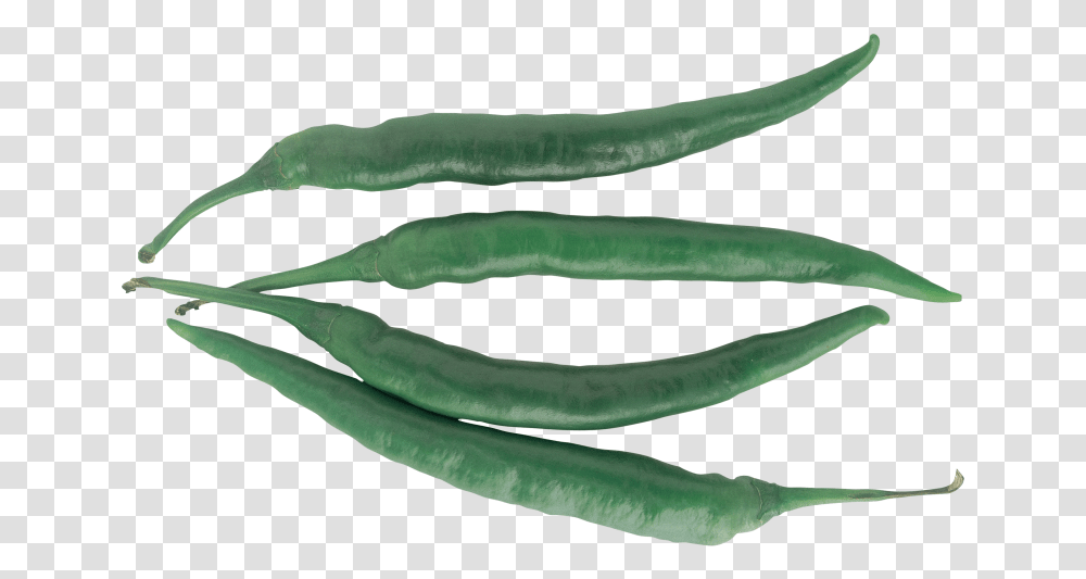 Download Green Pepper Eye Chili, Plant, Vegetable, Food, Produce Transparent Png