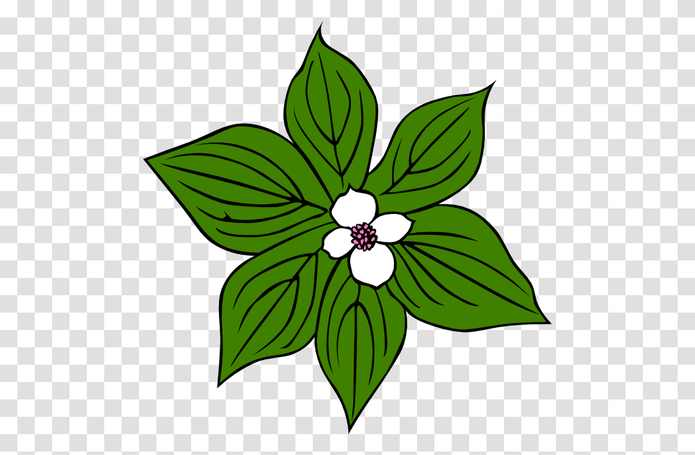 Download Green Plant With White Flower Clipart, Leaf, Pattern, Floral Design Transparent Png