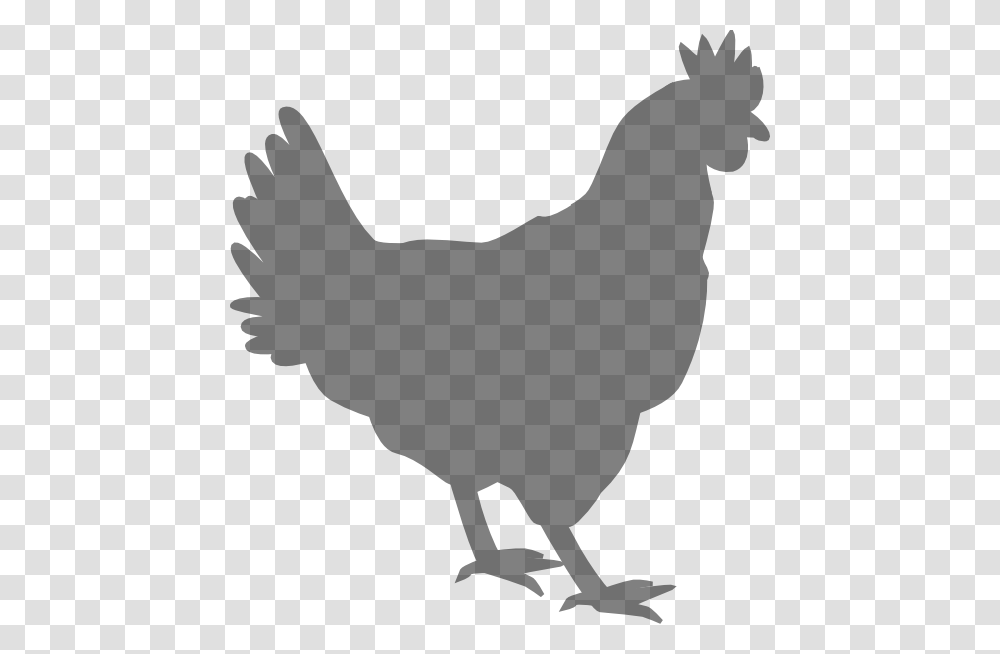 Download Grey Chicken Clipart, Silhouette, Animal, Bird, Poultry Transparent Png