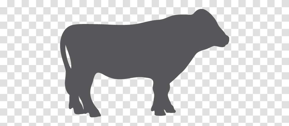 Download Grey Cow Icon Image Animal Figure, Silhouette, Mammal, Pig, Bull Transparent Png