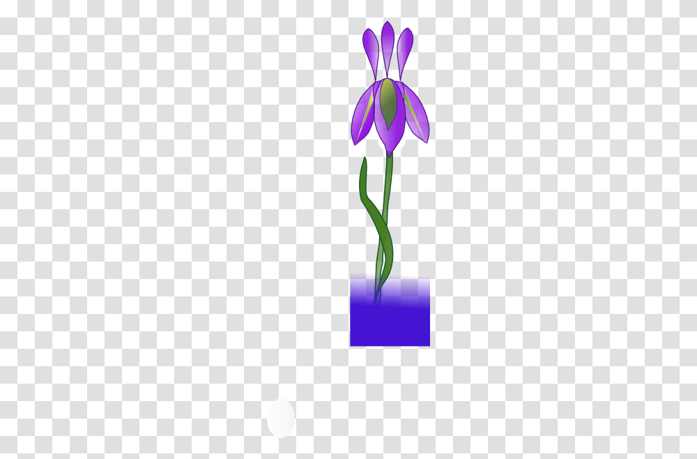 Download Growing Iris Clipart, Plant, Flower, Blossom, Vase Transparent Png