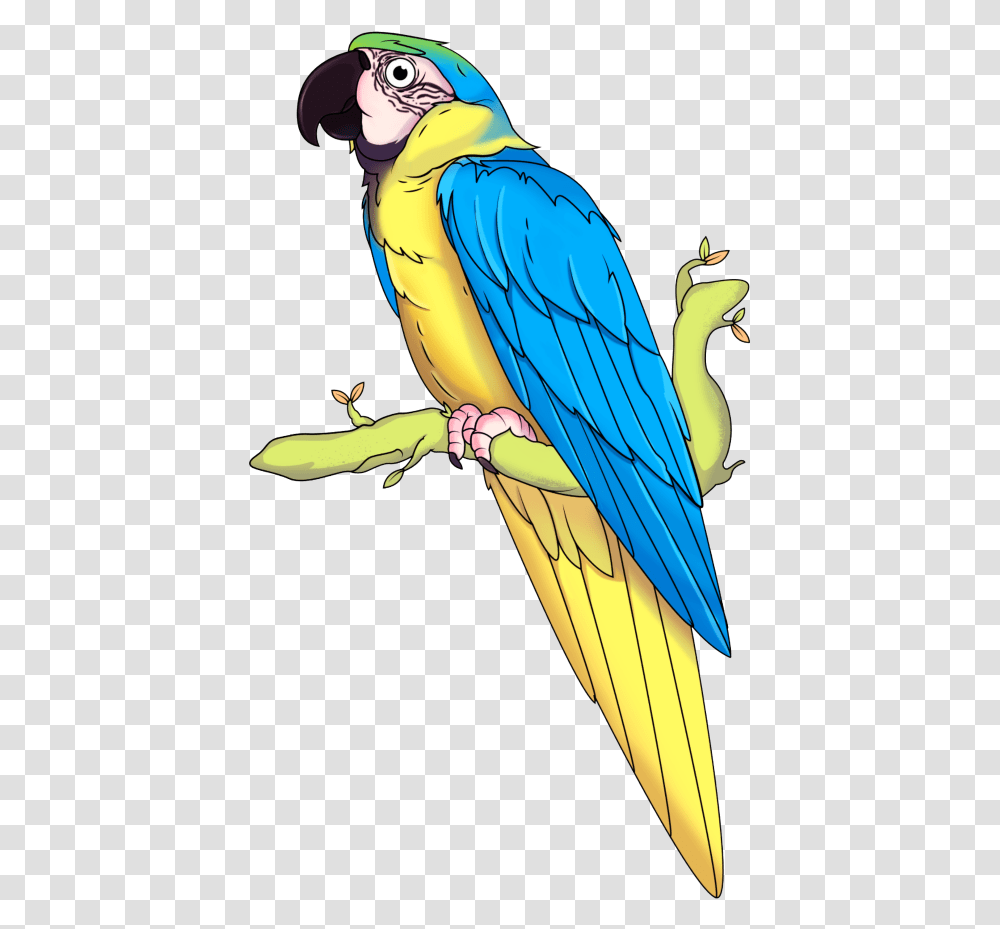 Download Guacamaya Pet Birds, Macaw, Parrot, Animal, Banana Transparent Png