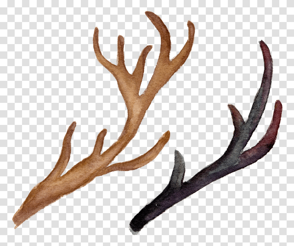 Download H Watercolor Flowers Antlers With Flowers Clipart Transparent Png