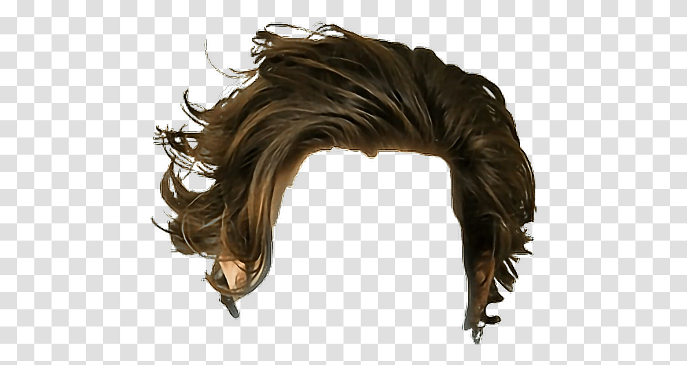 Download Hair Haircut Brown Hairstyle Man Brown Hair, Horse, Mammal, Animal, Dragon Transparent Png